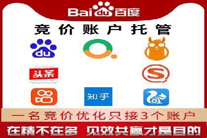 SEM推广公司案例：打造行业领军品牌